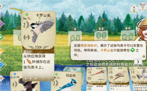 《展翅翱翔》评测：破开圈层体会平时关注不到的乐趣